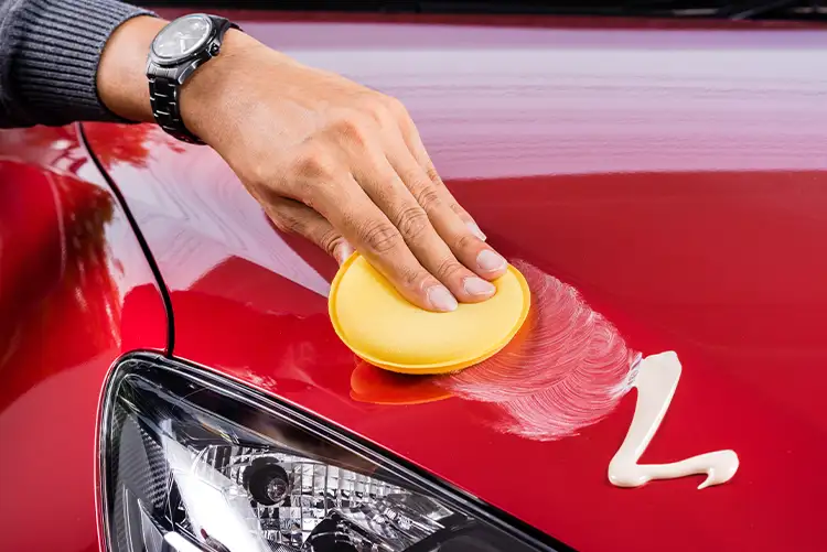 TLC Auto Detailing - exterior services, wax/sealant application - Decatur, IL