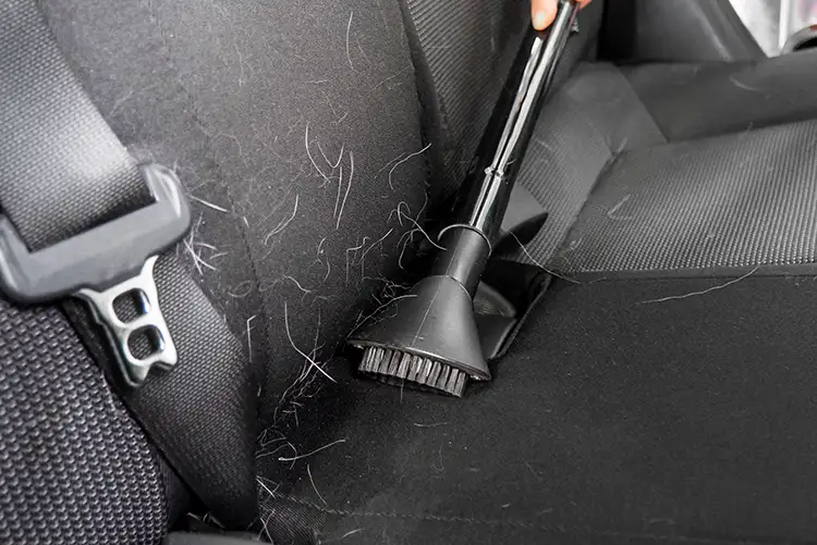 TLC Auto Detailing - advanced services, pet hair removal - Decatur, IL